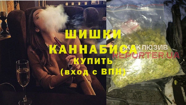 дмт Алексин