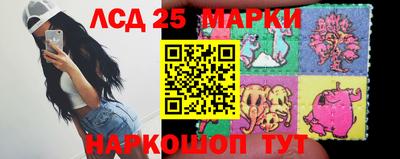 СК Гатчина