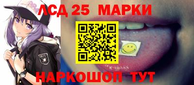 индика Гагарин