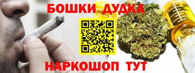 индика Гагарин