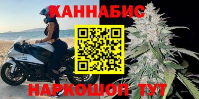 СК Гатчина