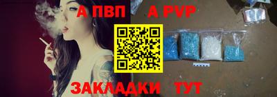 СК Гатчина