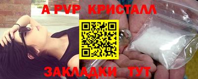 СК Гатчина
