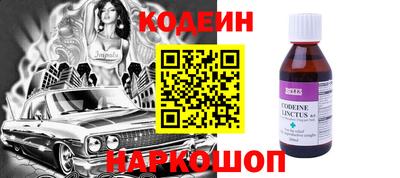 СК Гатчина