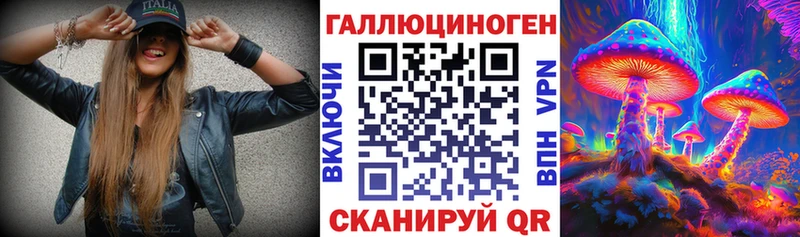 блэк спрут ссылки  купить наркоту  Сибай  Галлюциногенные грибы Psilocybine cubensis 