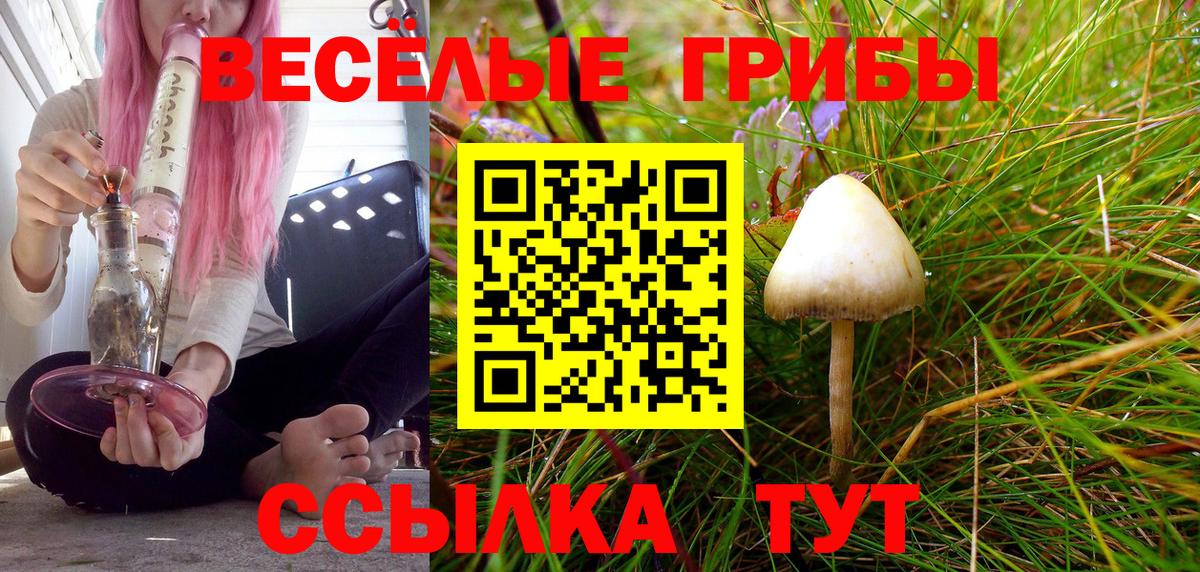 Галлюциногенные грибы GOLDEN TEACHER Сибай